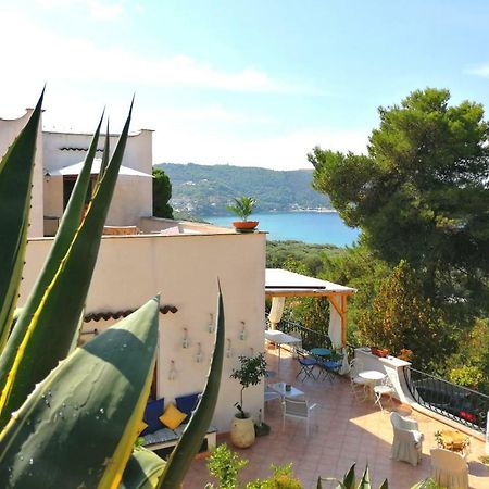 Bed and Breakfast Il Sogno Di Vincenzo E Maria Palinuro Zewnętrze zdjęcie
