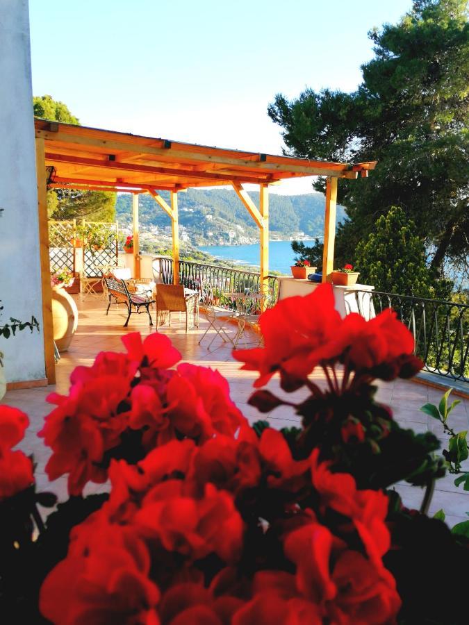 Bed and Breakfast Il Sogno Di Vincenzo E Maria Palinuro Zewnętrze zdjęcie
