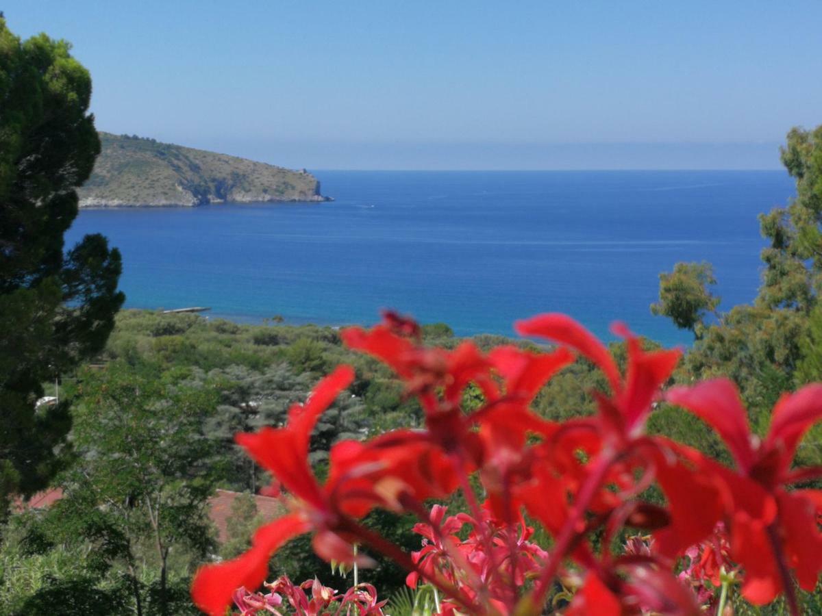 Bed and Breakfast Il Sogno Di Vincenzo E Maria Palinuro Zewnętrze zdjęcie