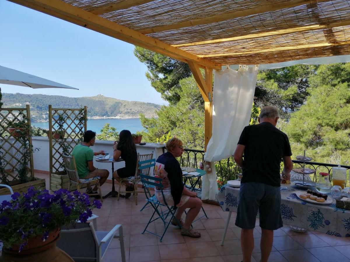 Bed and Breakfast Il Sogno Di Vincenzo E Maria Palinuro Zewnętrze zdjęcie