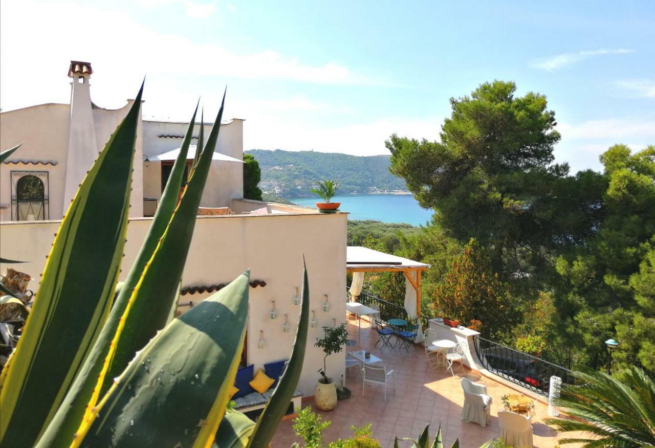 Bed and Breakfast Il Sogno Di Vincenzo E Maria Palinuro Zewnętrze zdjęcie